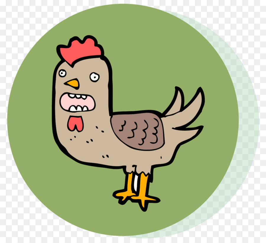 Pollo，Dibujo PNG