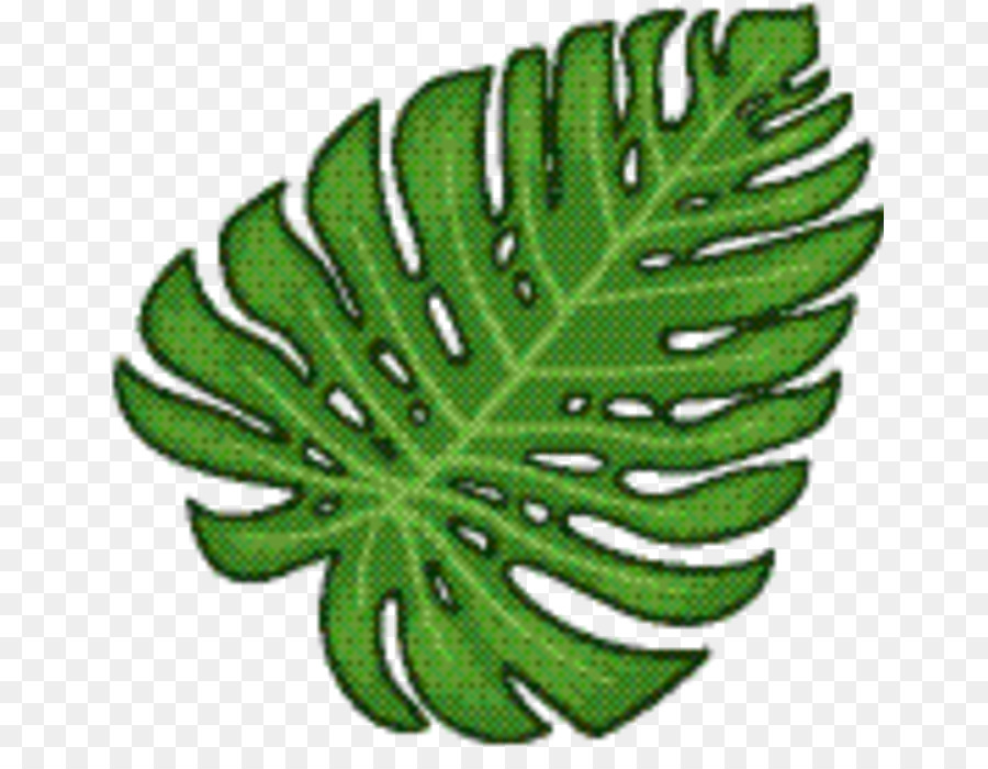 Verde，Hoja PNG