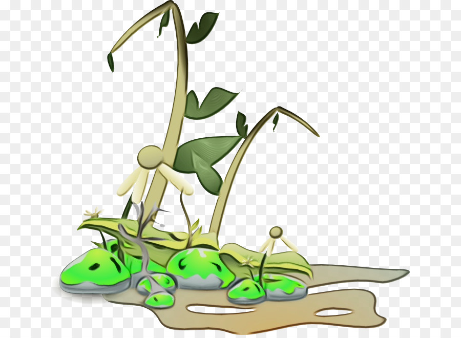 Plantas Marchitas，Decadencia PNG