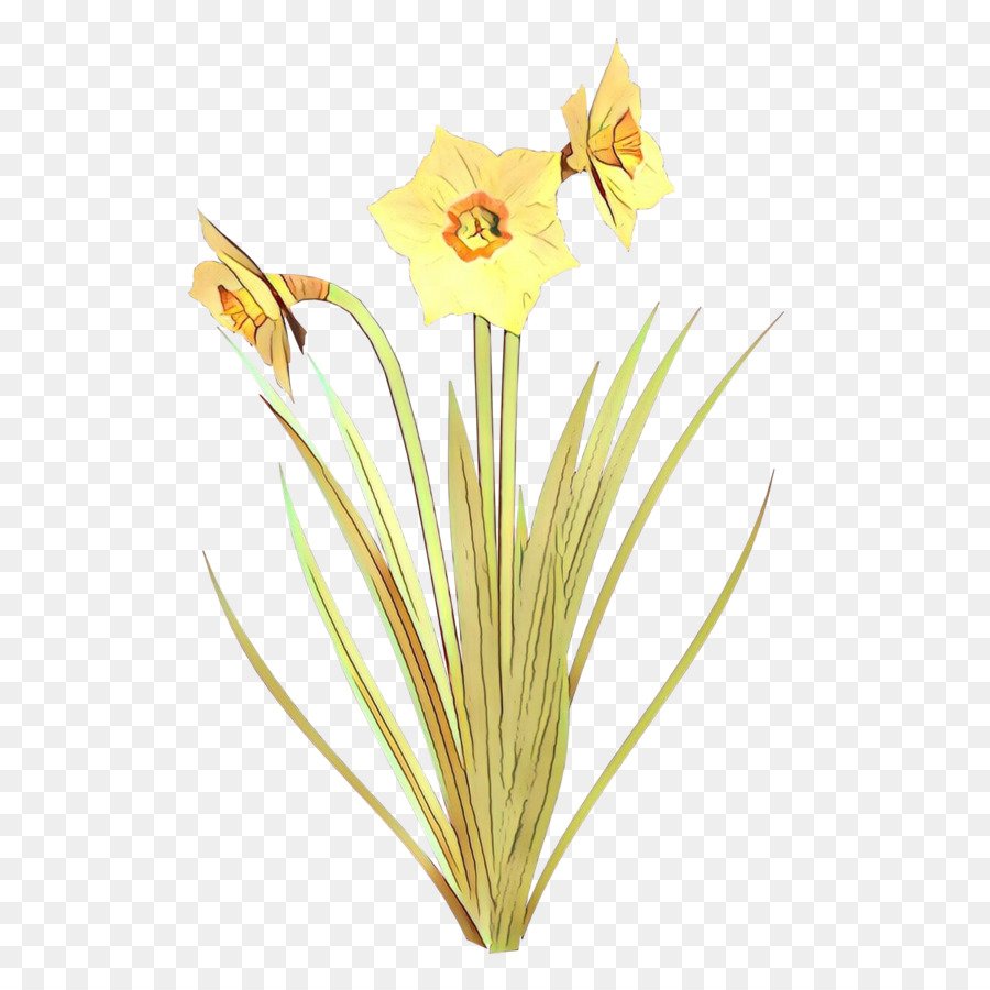 Narcisos Amarillos，Primavera PNG