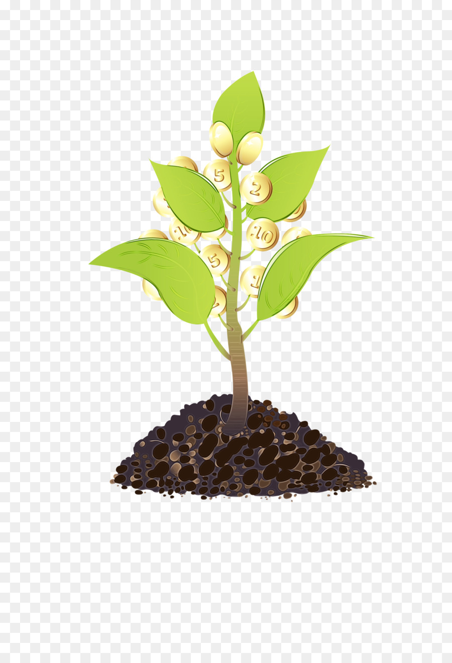 Las Plantas，De Frijol PNG