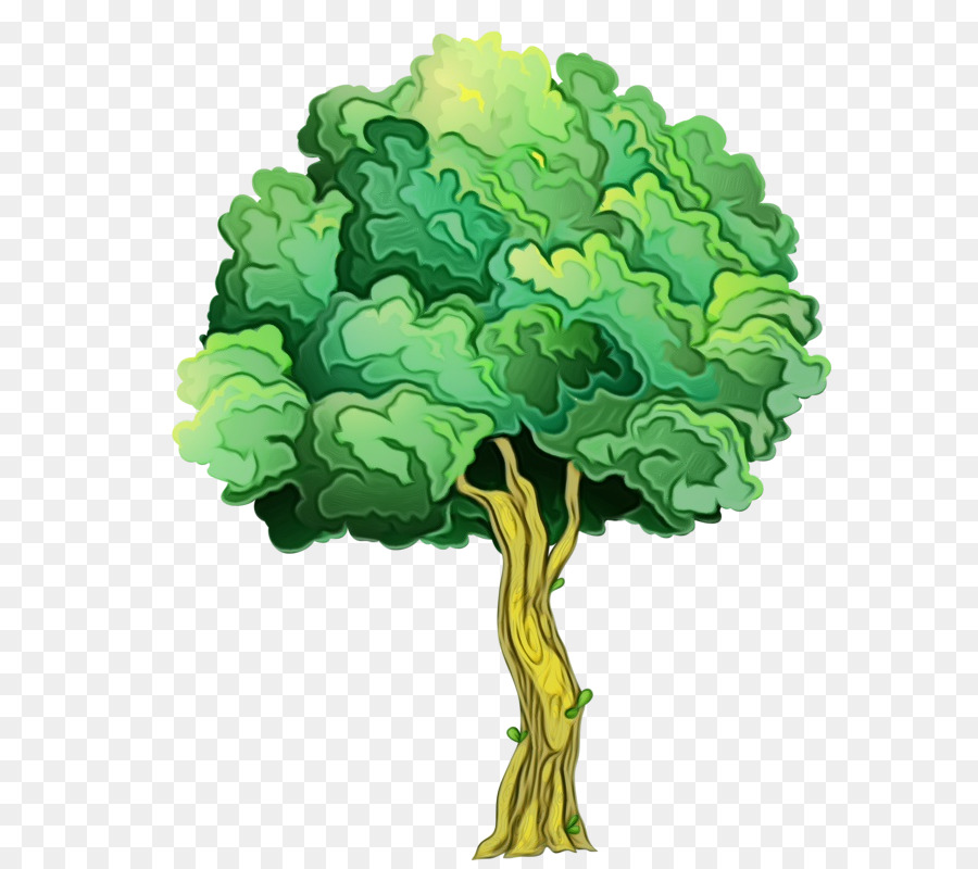 Árbol，Hojas PNG