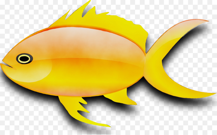 Pez，Los Peces PNG