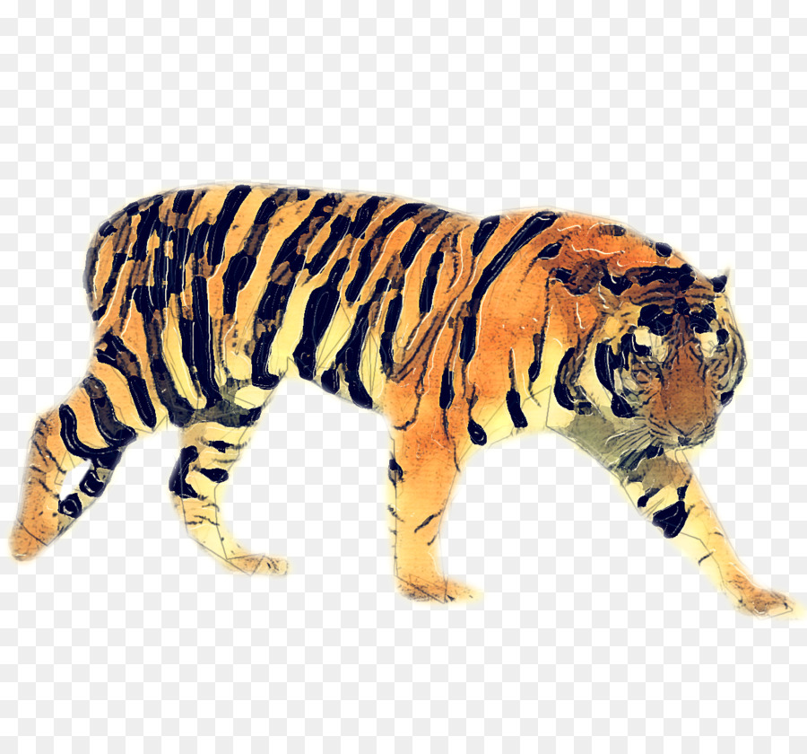 Tigre，Leopardo PNG