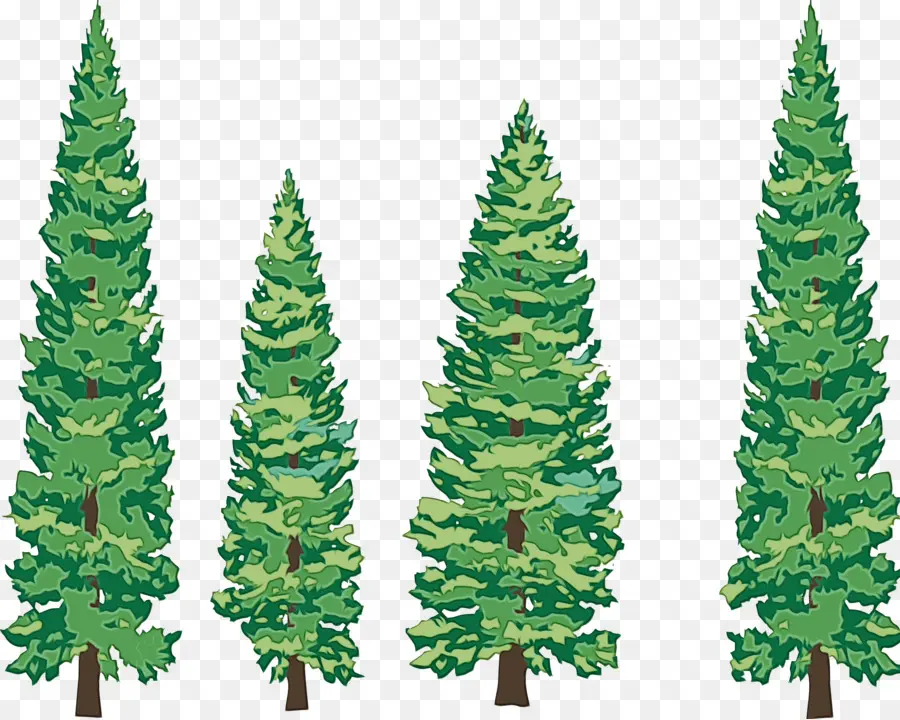 Abeto，Árbol PNG