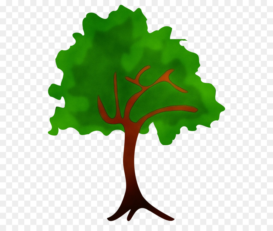 Agua，Árbol PNG