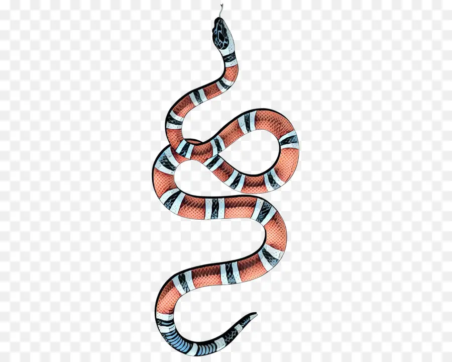 Gucci，Las Serpientes PNG