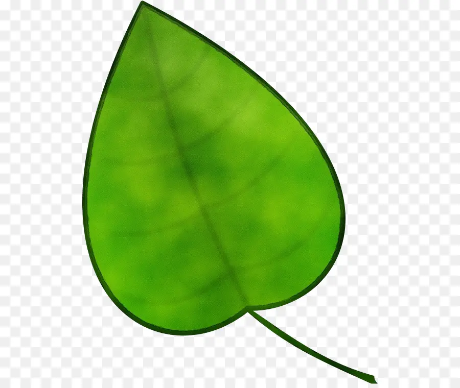 Hoja，Dibujo PNG