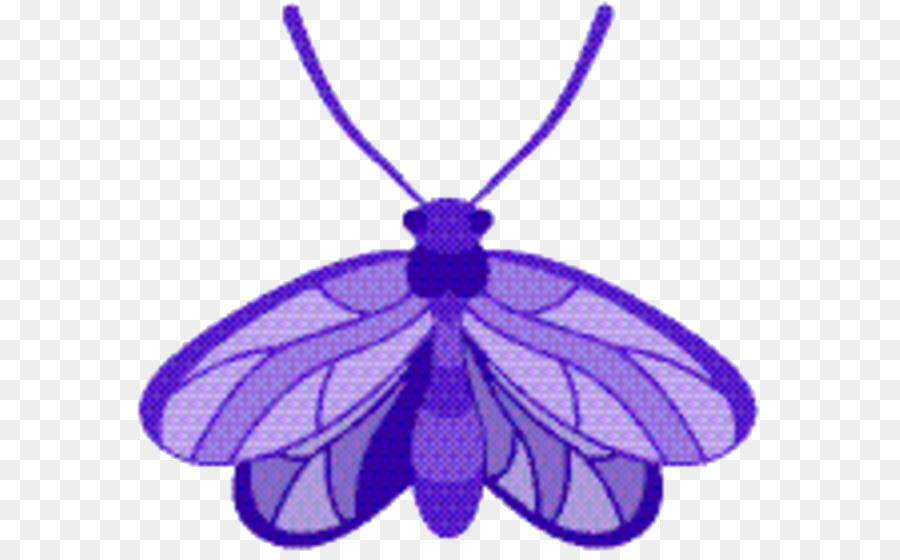 Los Insectos，Morado PNG