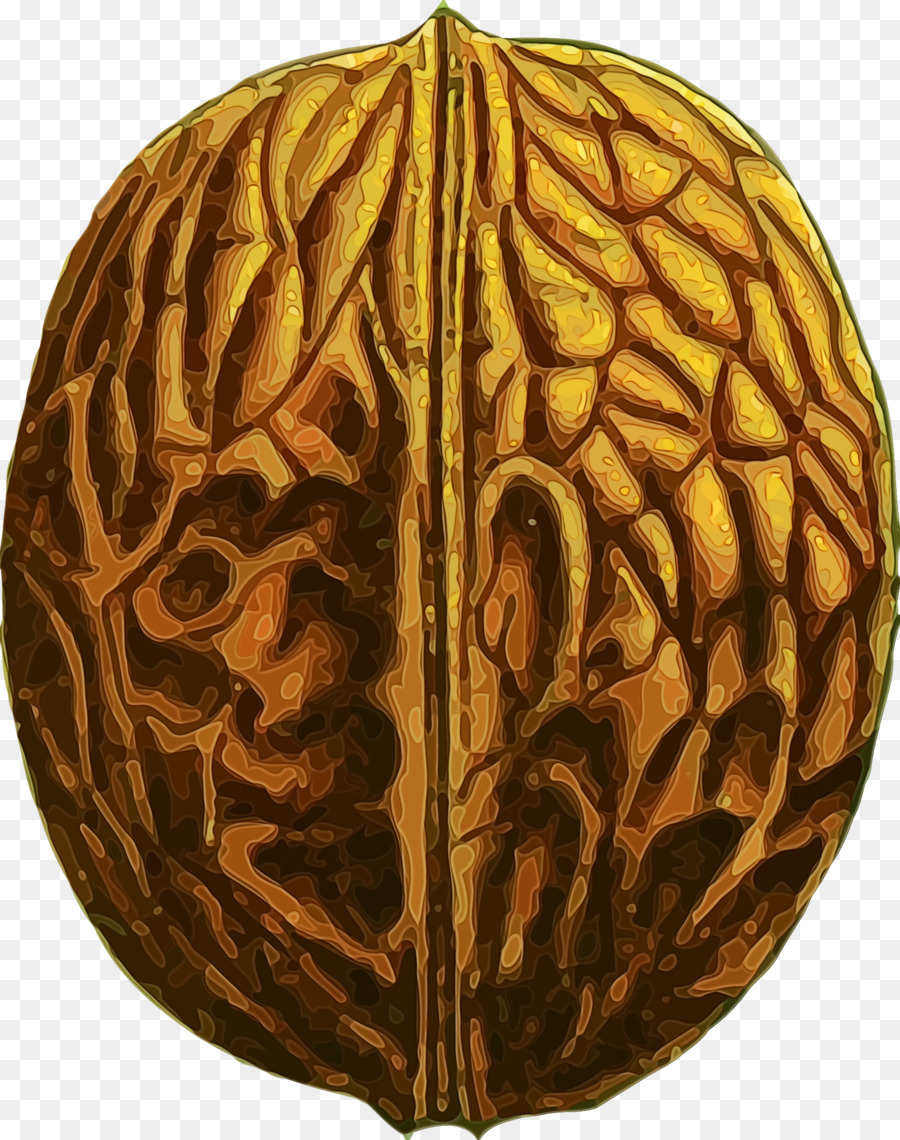 La Calabaza，Calabaza De Invierno PNG