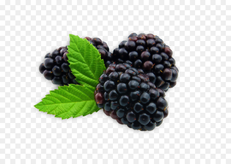 Blackberry，La Fruta PNG