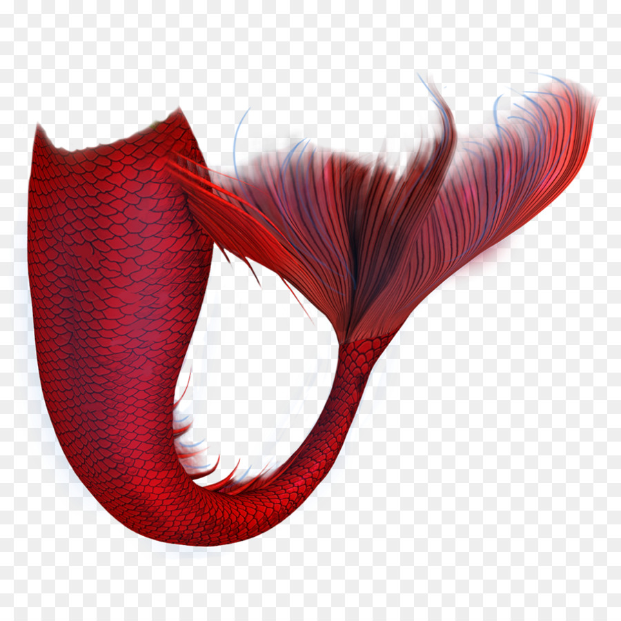 Cola De Sirena Roja，Pez PNG