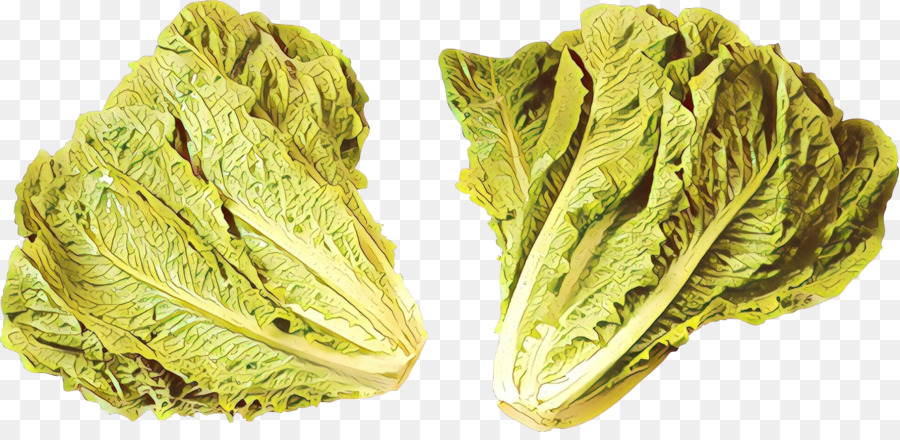 Ensalada，Lechuga Romana PNG