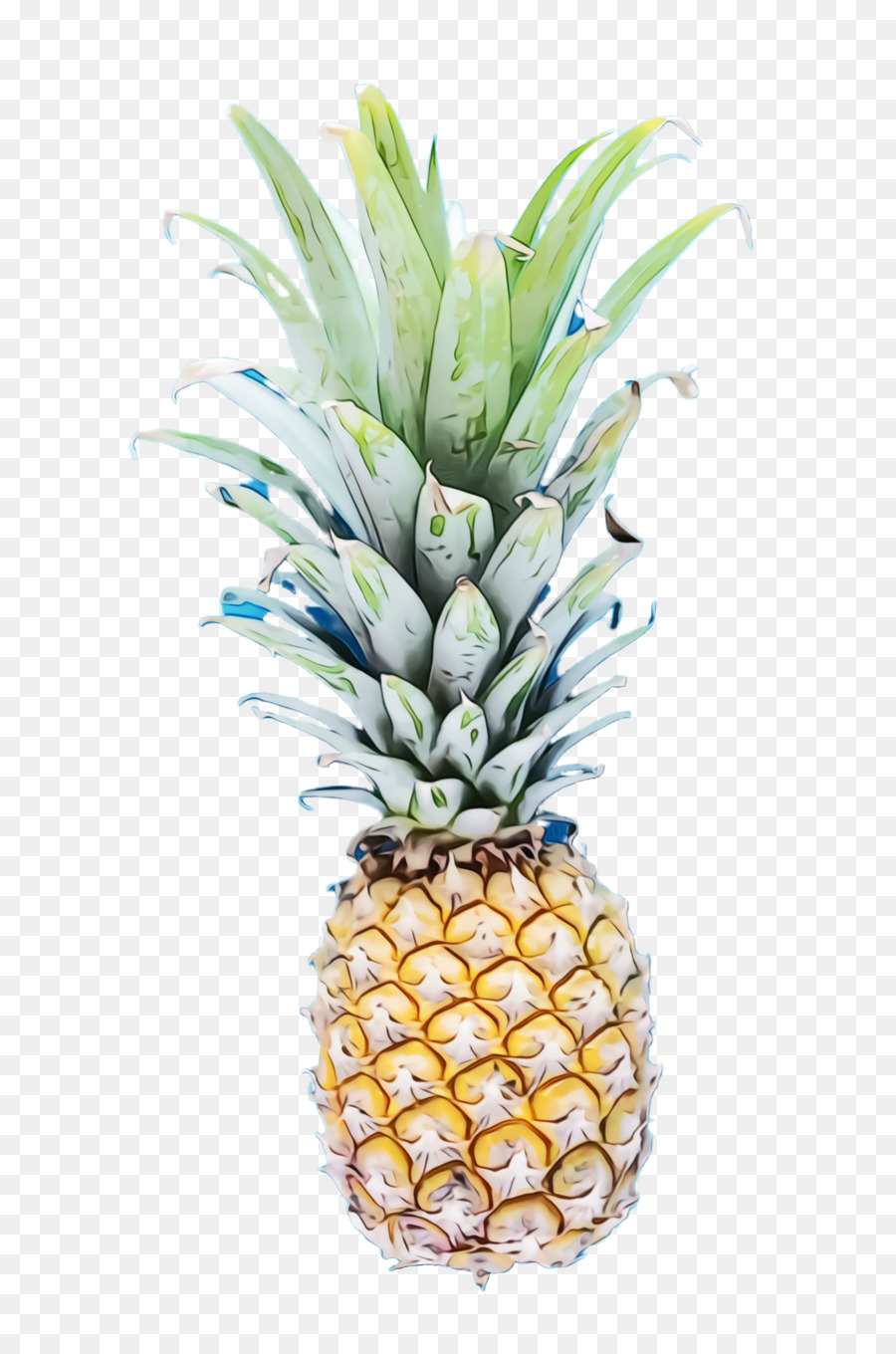 Piña，Maceta PNG