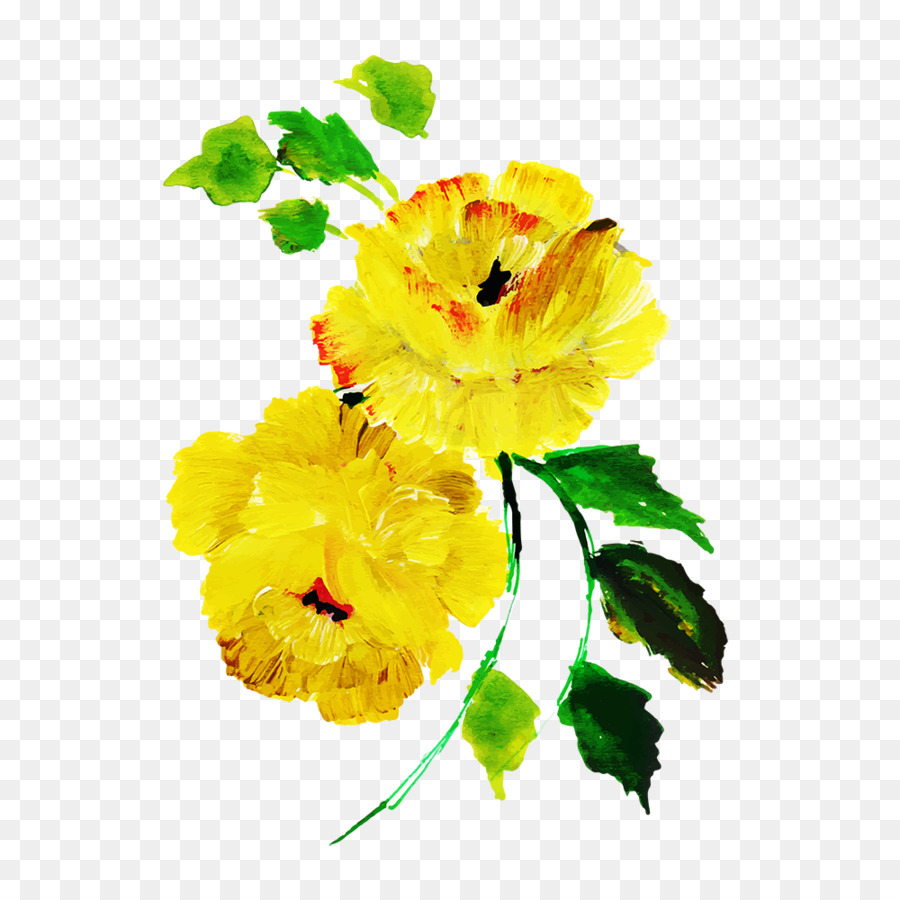 Diseño Floral，Pintura A La Acuarela PNG