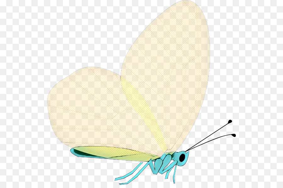 Mariposa，M 0d PNG