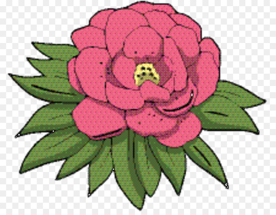 Diseño Floral，Familia De Las Rosas PNG