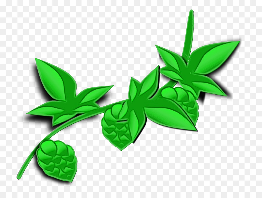 Las Plantas，Tallo De La Planta PNG