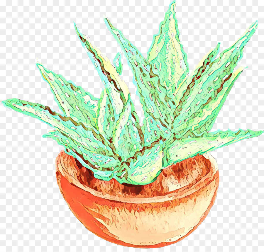 Maceta，Aloe Vera PNG