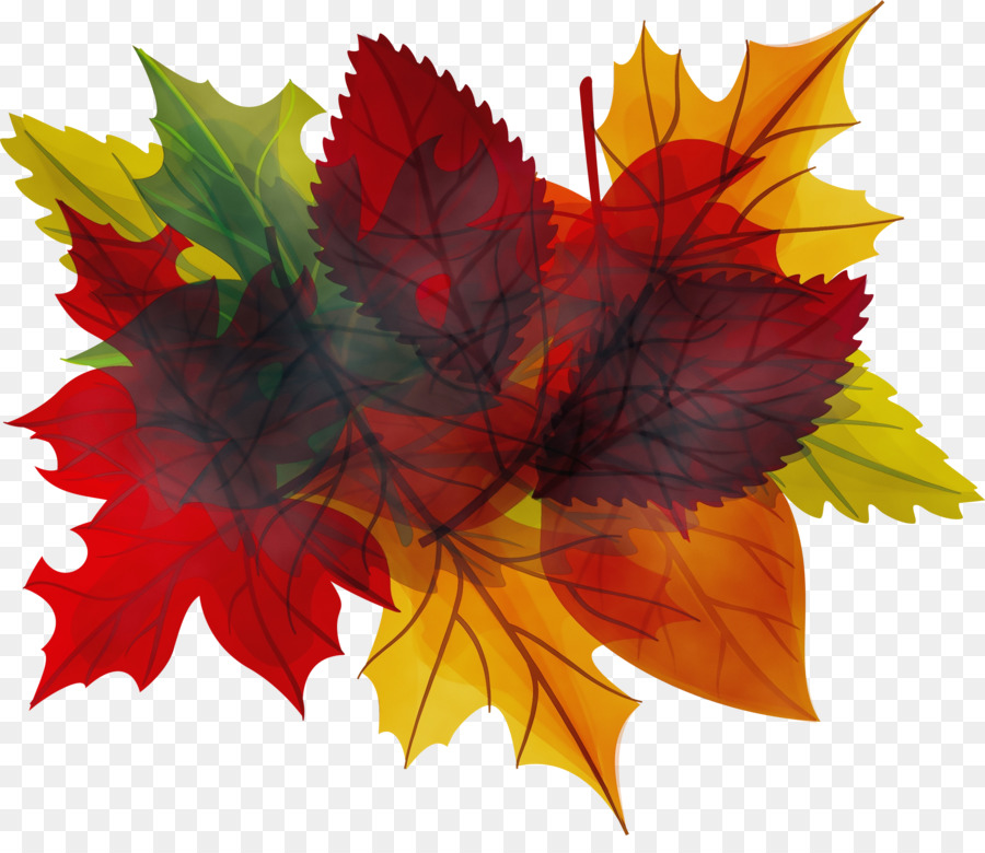 Hojas De Otoño，Caer PNG