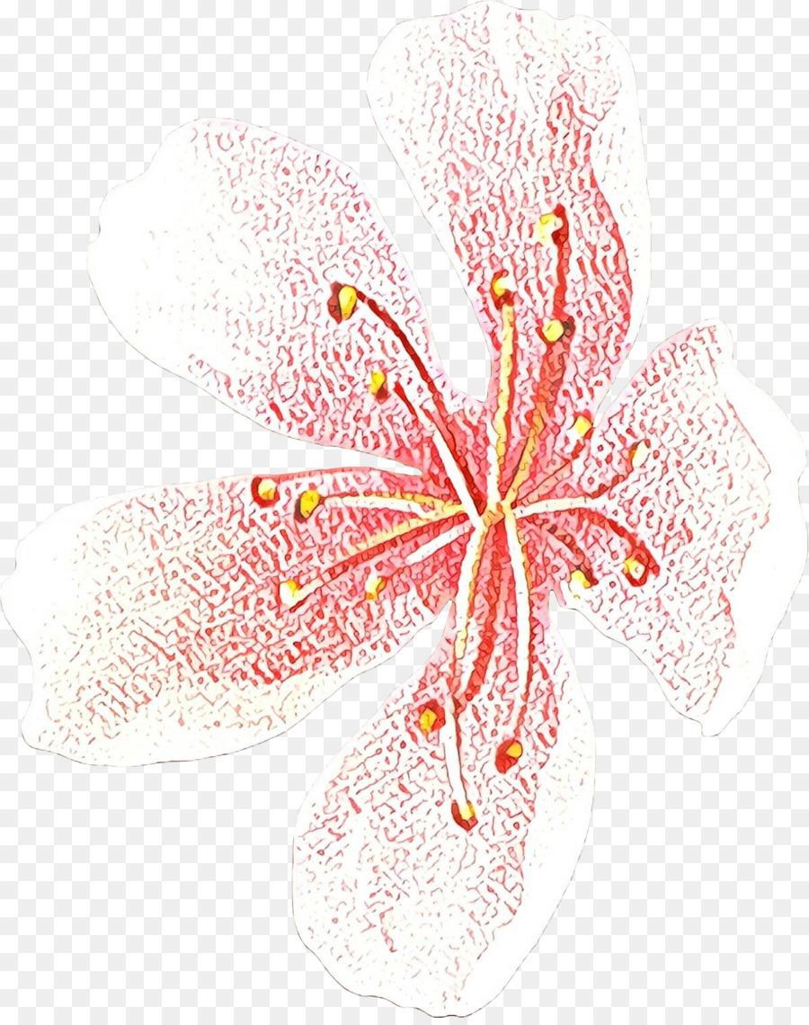 Diseño Floral，Las Flores Cortadas PNG