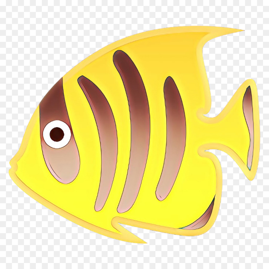 Biología，Los Peces óseos PNG