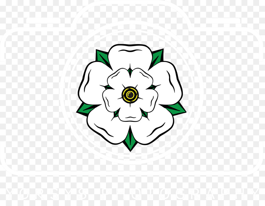 Yorkshire，De La Rosa Blanca De York PNG