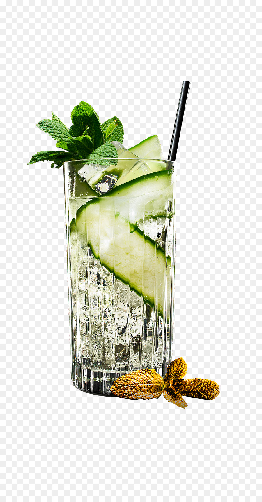 Mojito，Cóctel De Guarnición PNG