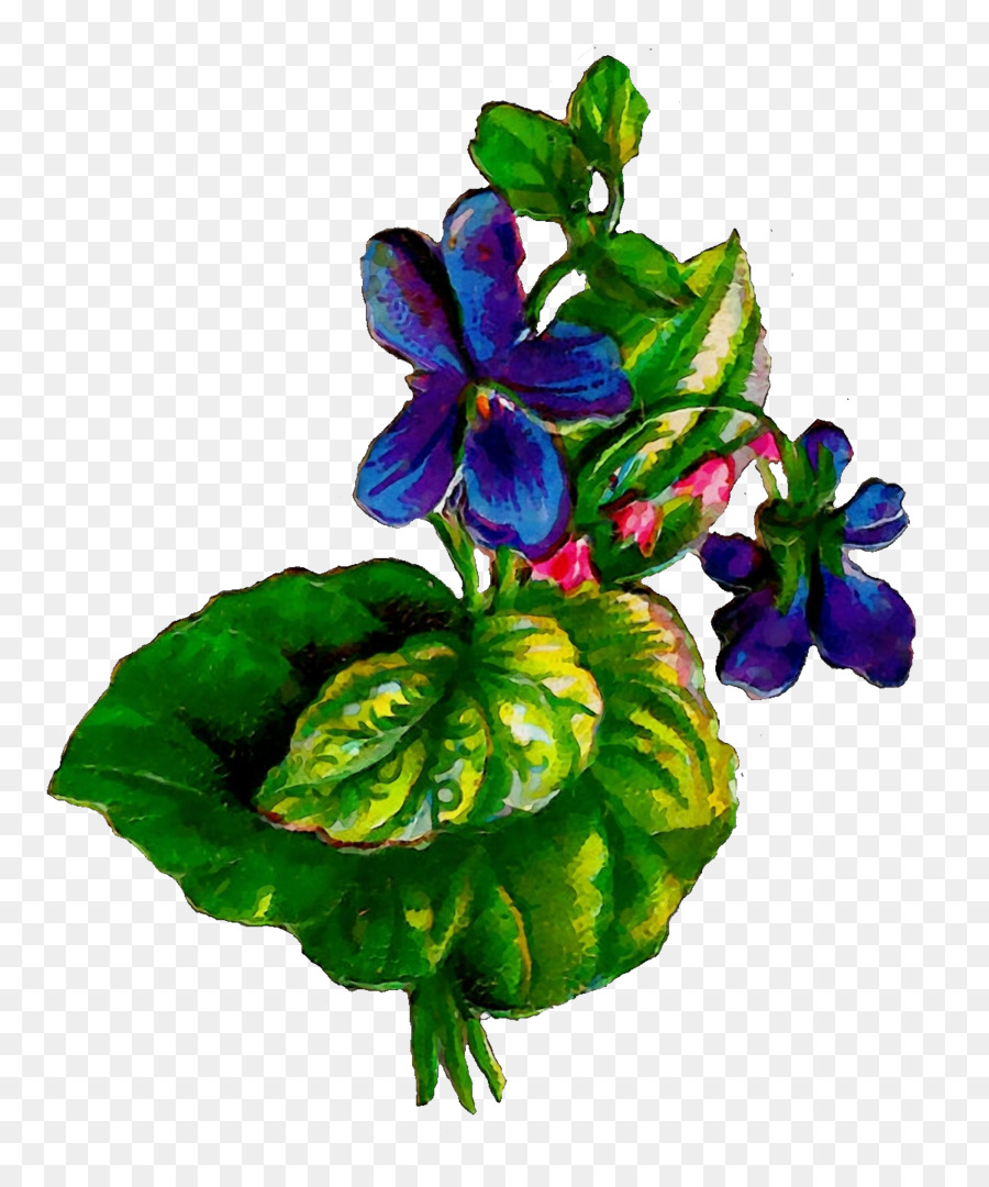 Flores Violetas，Flores PNG