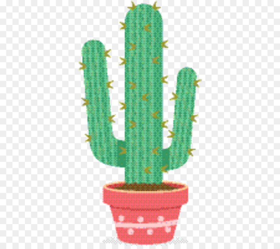 Cactus San Pedro，Triángulo De Cactus PNG