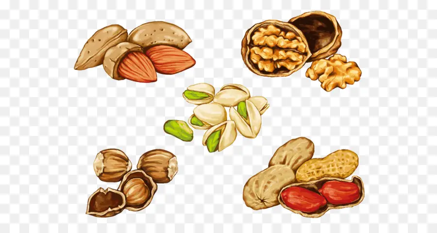 Nueces Surtidas，Saludable PNG