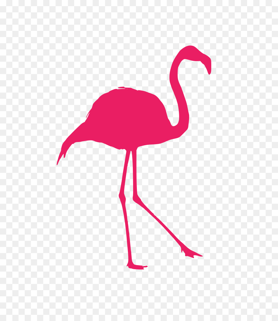 Silueta，Aves PNG