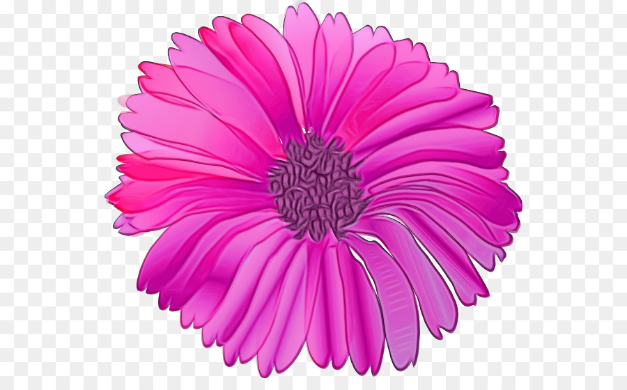 Flor，Rosa PNG