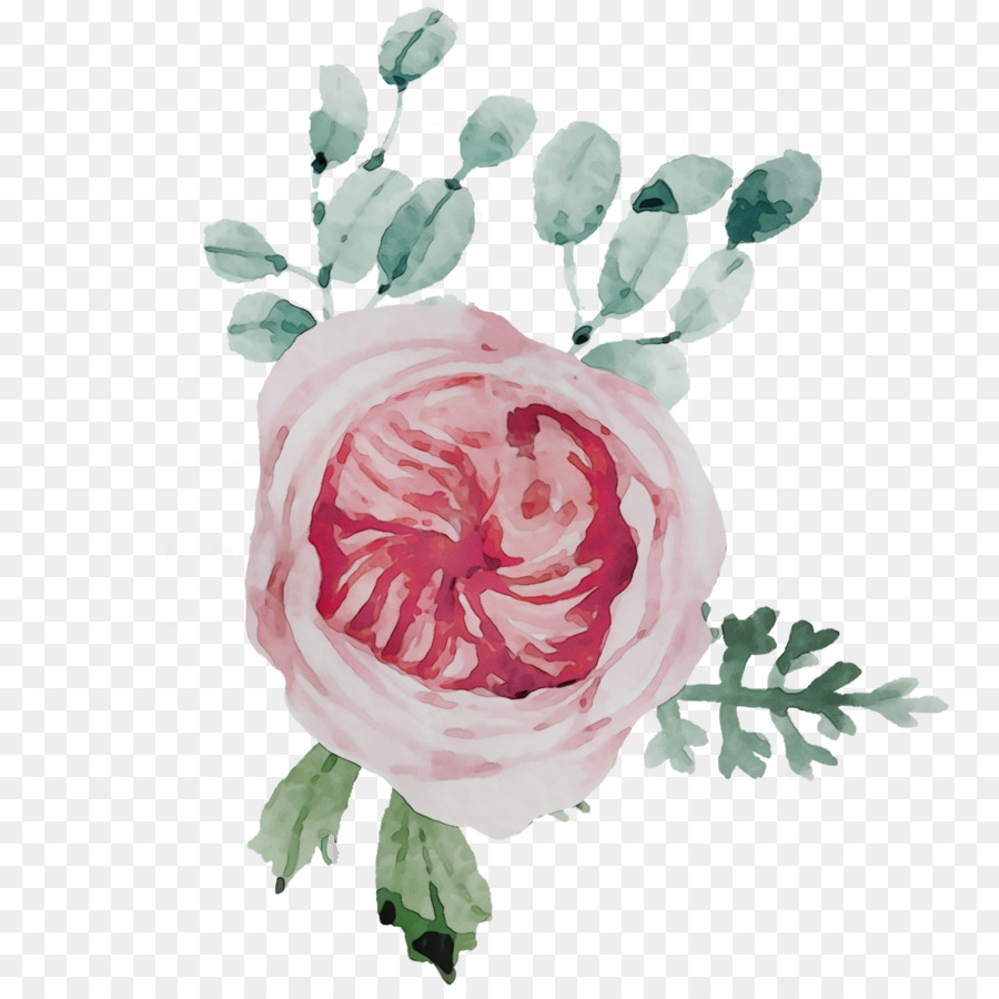 Flor De Acuarela，Rosa PNG