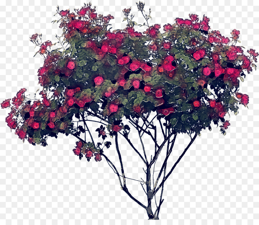Las Rosas De Jardín，Pintura PNG