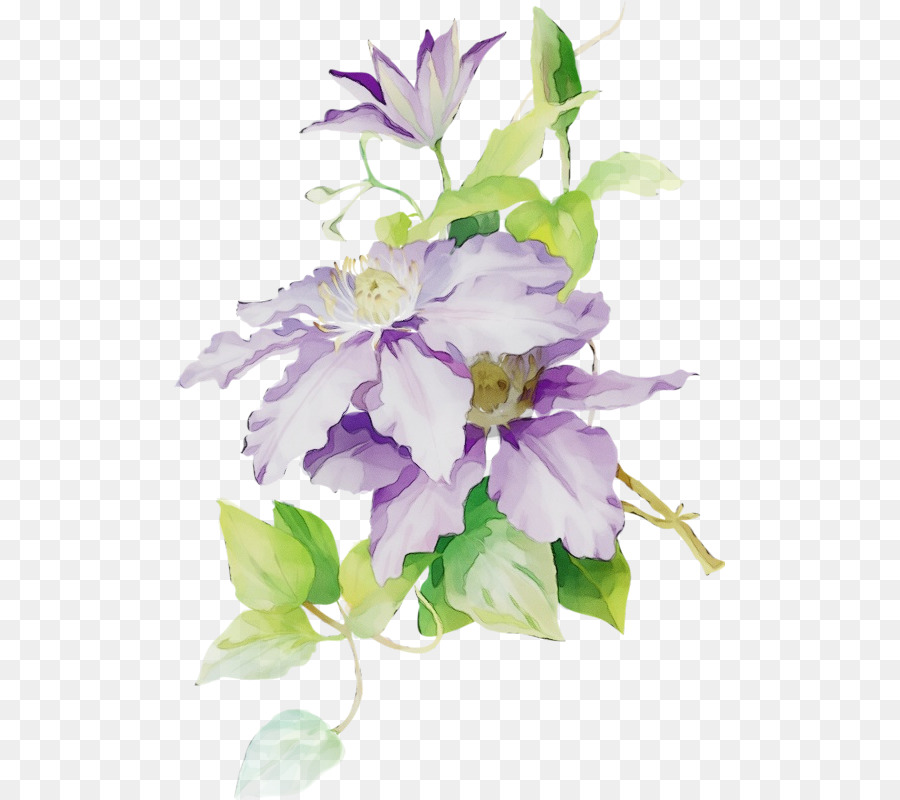 Flores Moradas，Hojas PNG