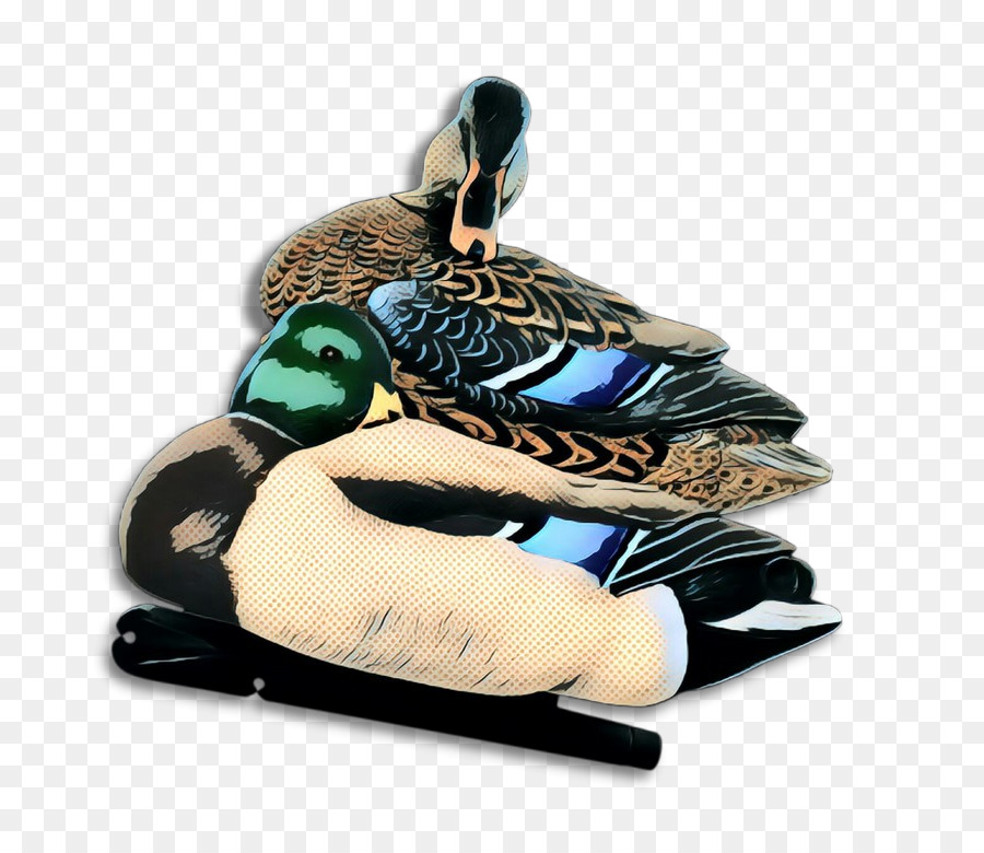 El ánade Real，Pato PNG