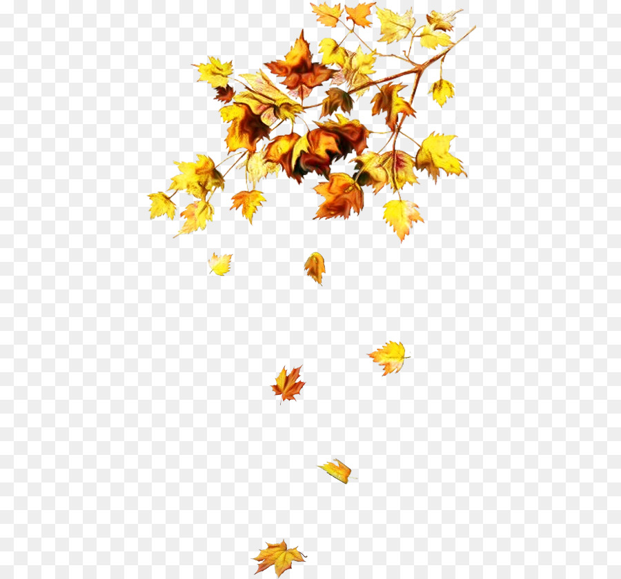 Hojas De Otoño，Caer PNG