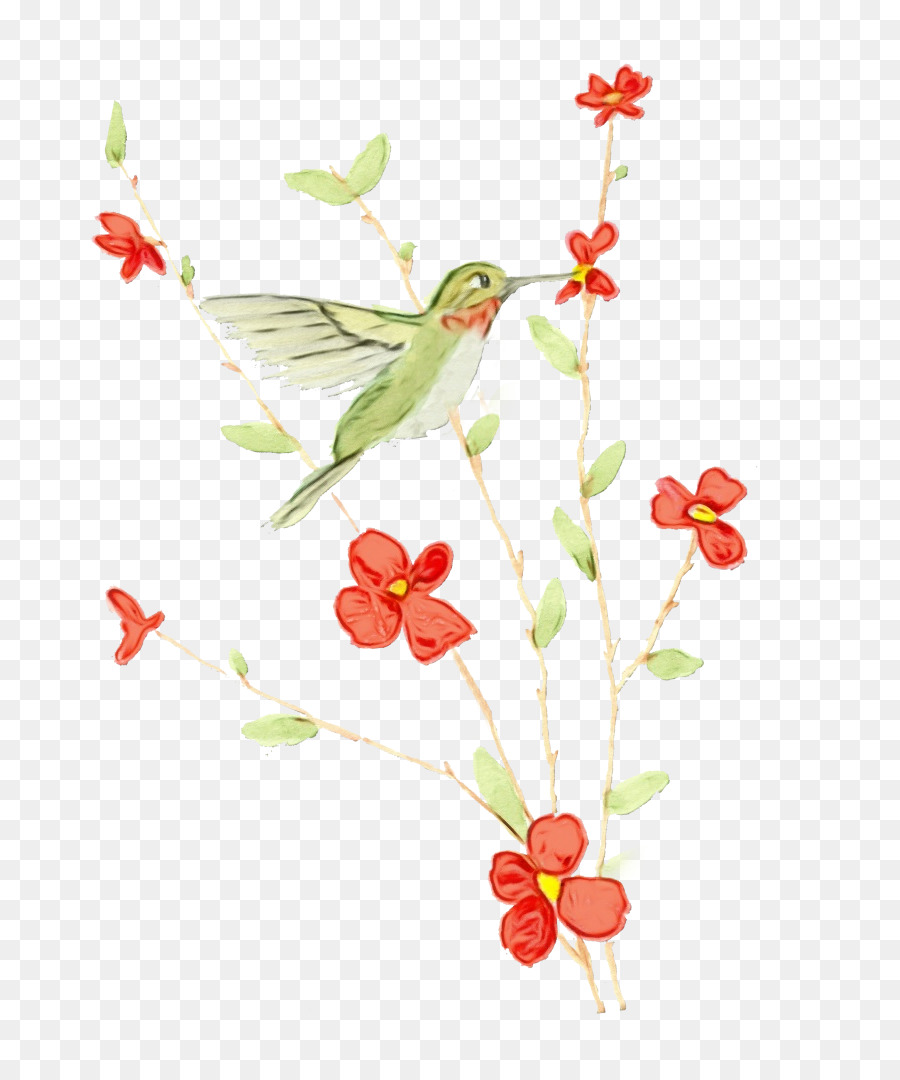 Diseño Floral，Colibrí PNG