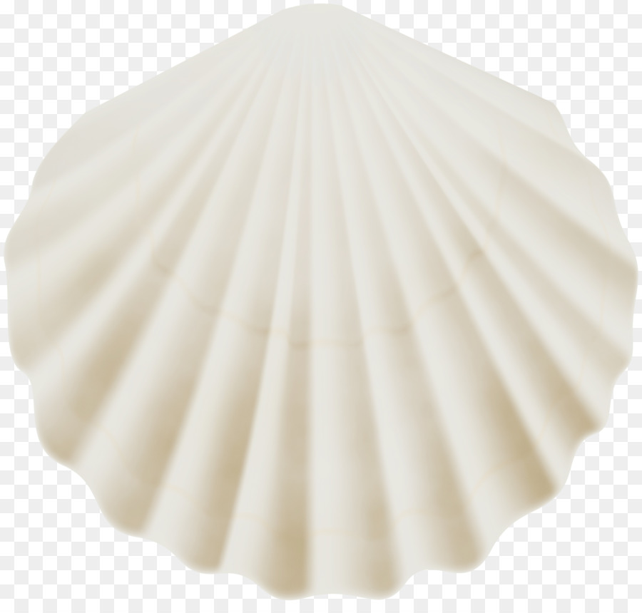 Caparazón，Concha PNG