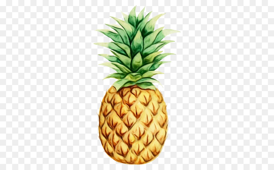 Piña Colorida，Piña PNG