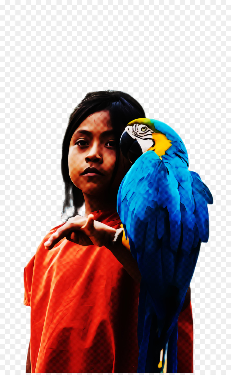 Guacamayo，Loro PNG