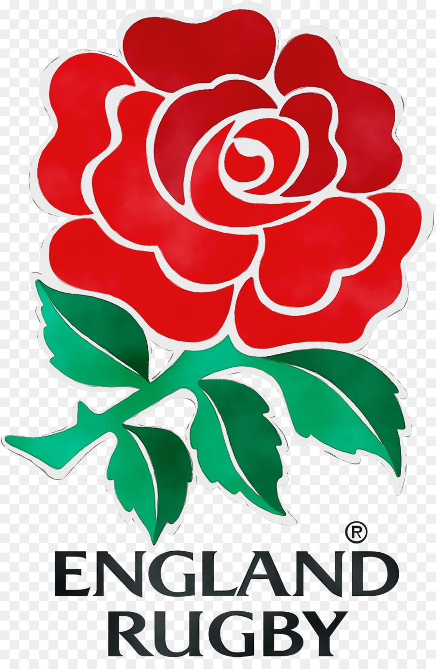 Inglaterra Equipo Nacional De Rugby De，Estadio De Twickenham PNG