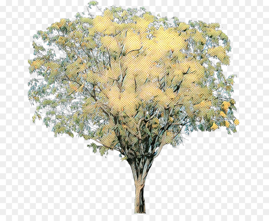 árbol De Otoño，Hojas PNG