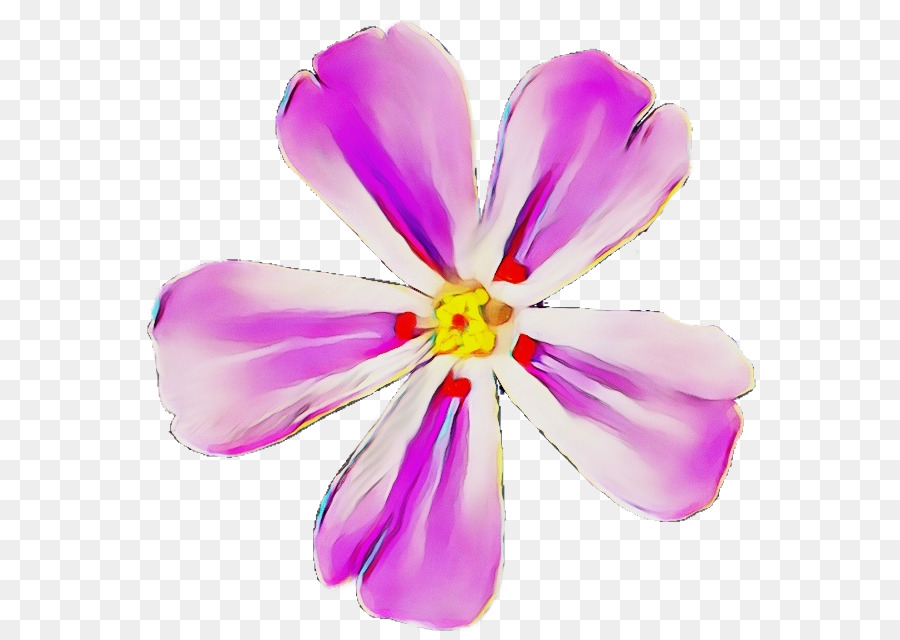 Flores，Florecer PNG