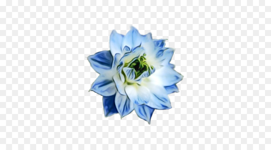 Flor，Azul PNG