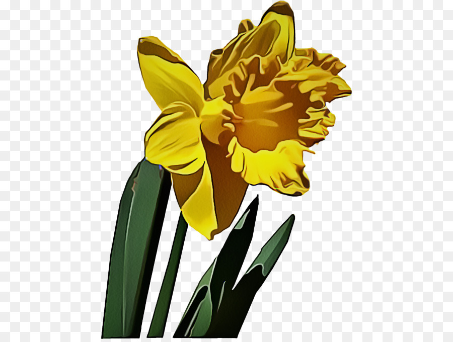 Narcisos Amarillos，Primavera PNG