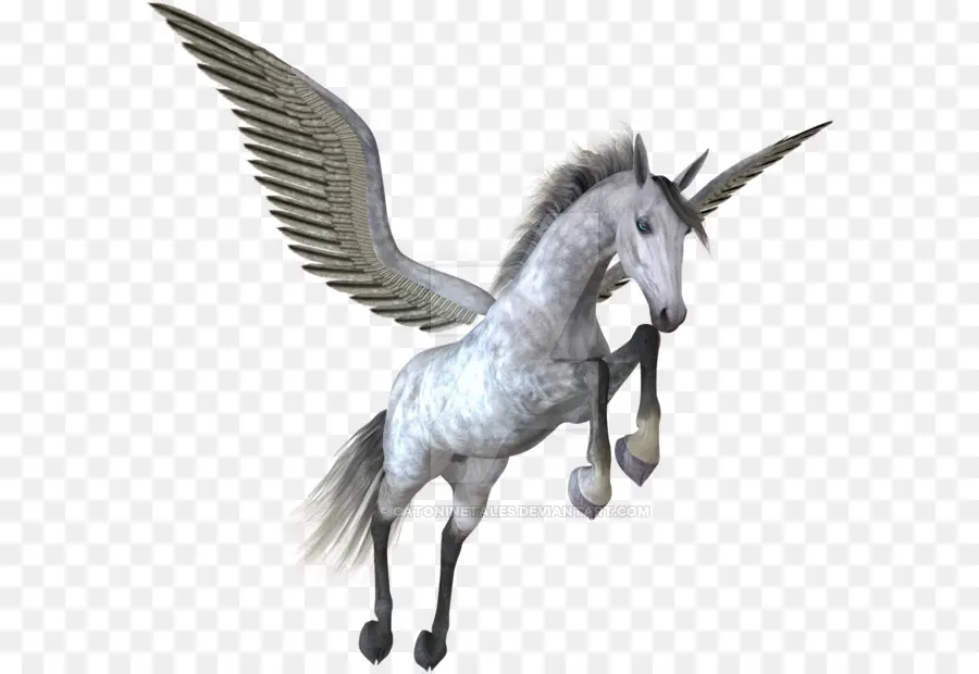 Pegasus，Unicornio PNG