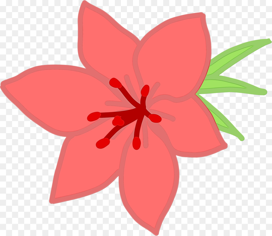 Flores，Florecer PNG