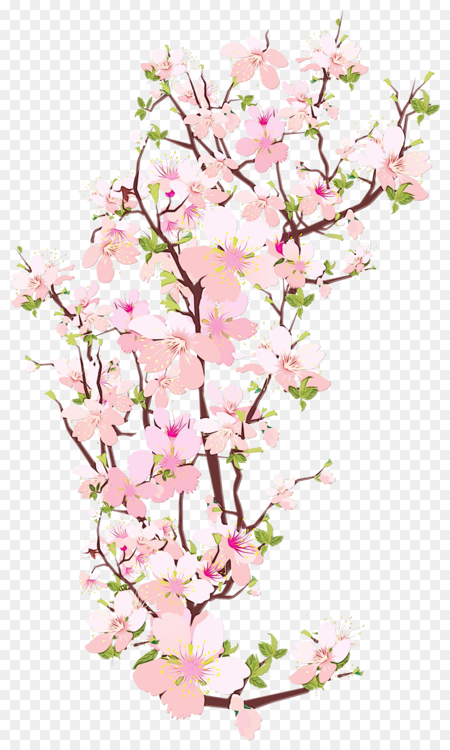 De Los Cerezos En Flor，Flor PNG